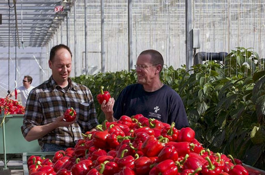 St. David's Hydroponics